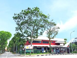 Jelita-mall